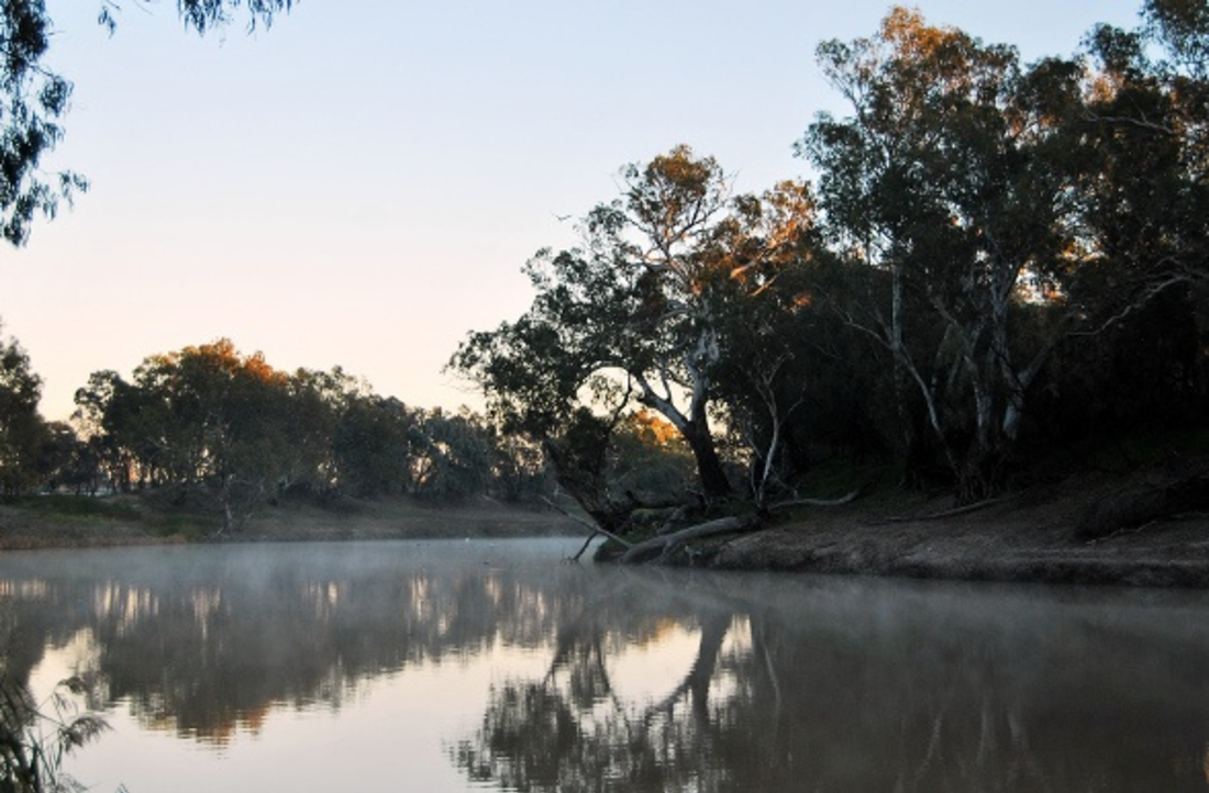 Flight_campbarwon.jpg