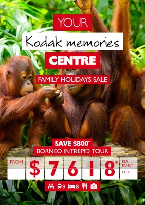 Your kodak memories centre - family holidays sale. Save $800* Borneo Intrepid Tour from $7,618* per family of 4. Baby Orangutans on a tree branch in a dense jungle