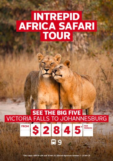 Intrepid Africa Safari Tour. See the big five. Victoria Falls to Johannesburg from $2845* per person