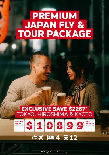 premium japan fly and tour package