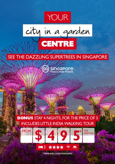 See the Dazzing Supertrees in Singapore with this Great Deal!