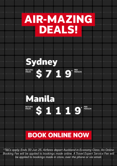 BIM Airfares Web Banner