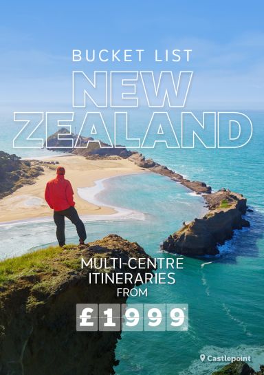 nz deals tile