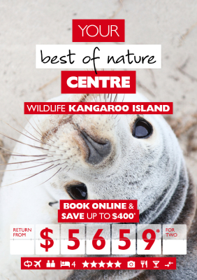 seal on kangaroo island