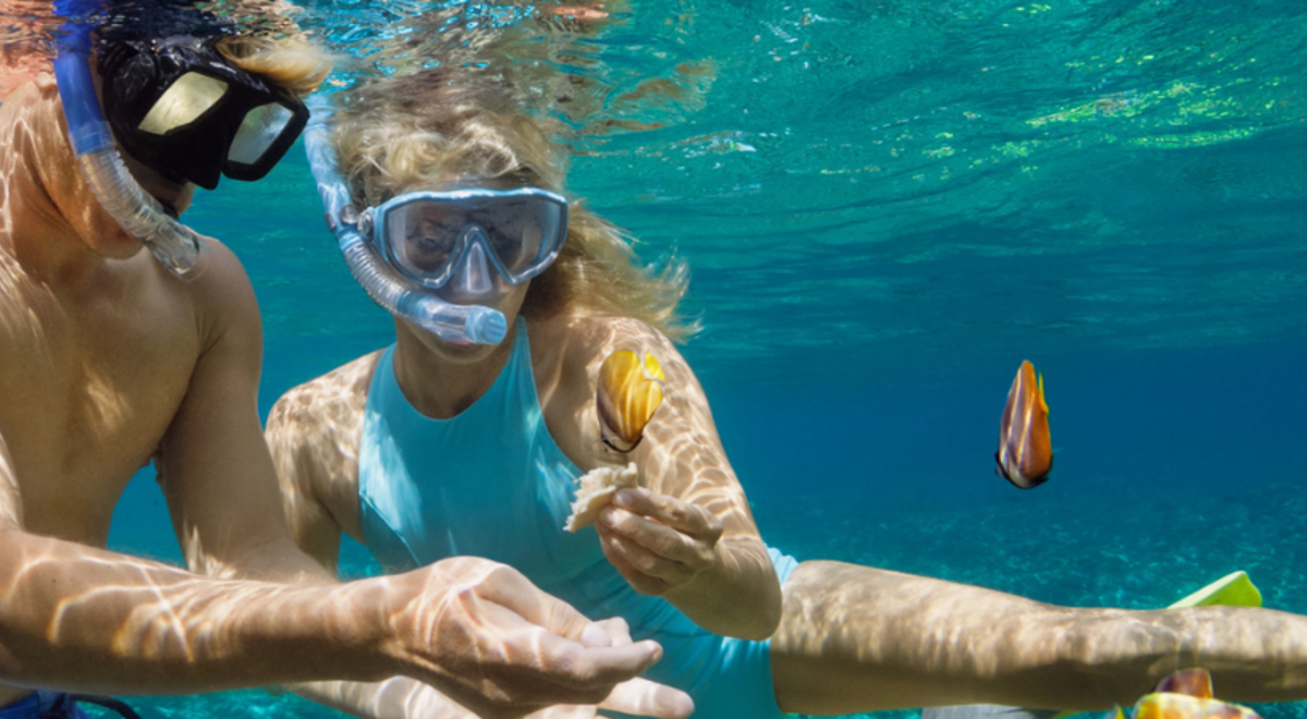Pack The Wetsuit The Best Snorkelling Phuket Has To Offer