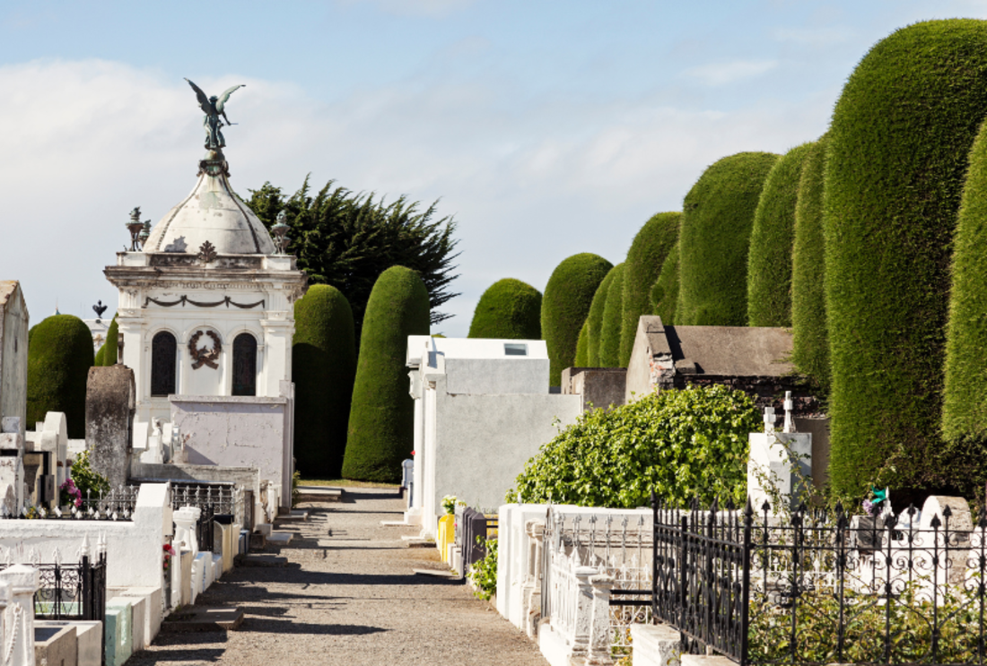 Cemetery of Punta Arenas, Chile image.png