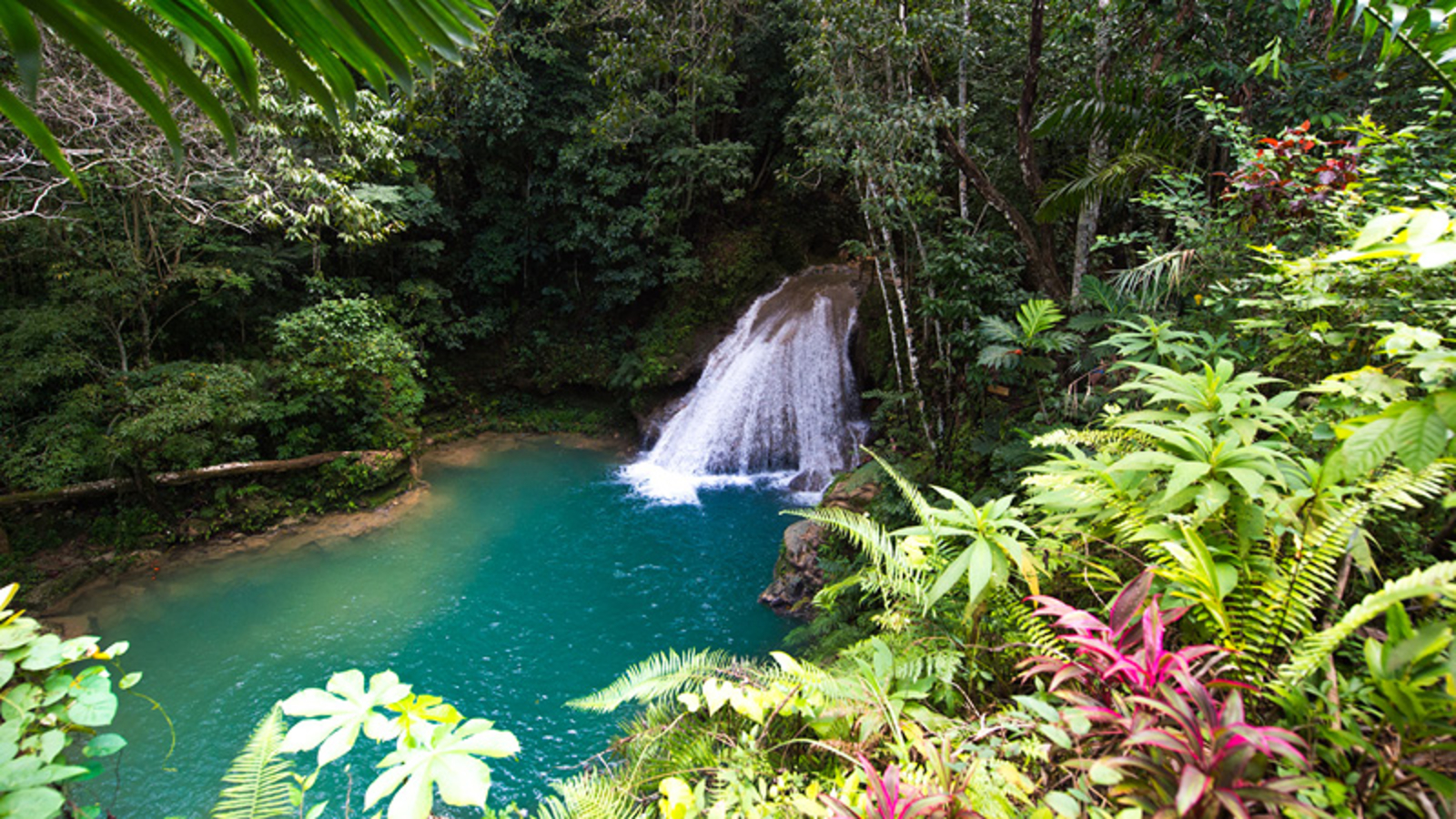 fc-apr01-jamaica_blog_refresh-5.jpg