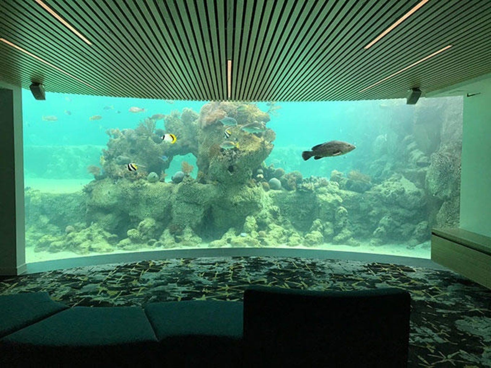 Hamilton Island vs Daydream Island Flight Centre UK