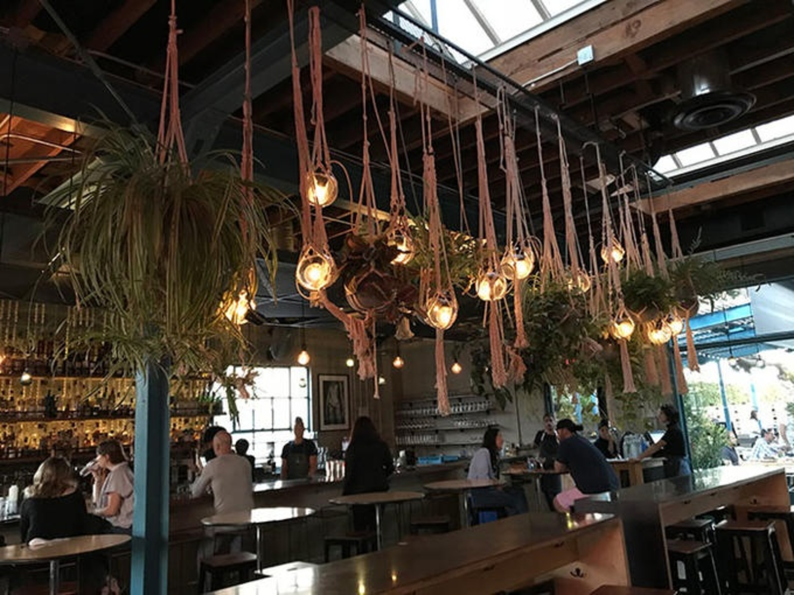 How to spend 24 hours in Venice Beach, California Flight Centre UK