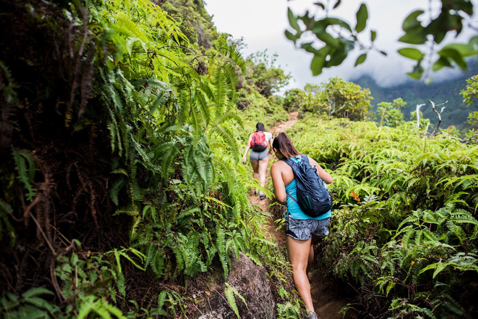 Two women hiking on a lush jungle trail