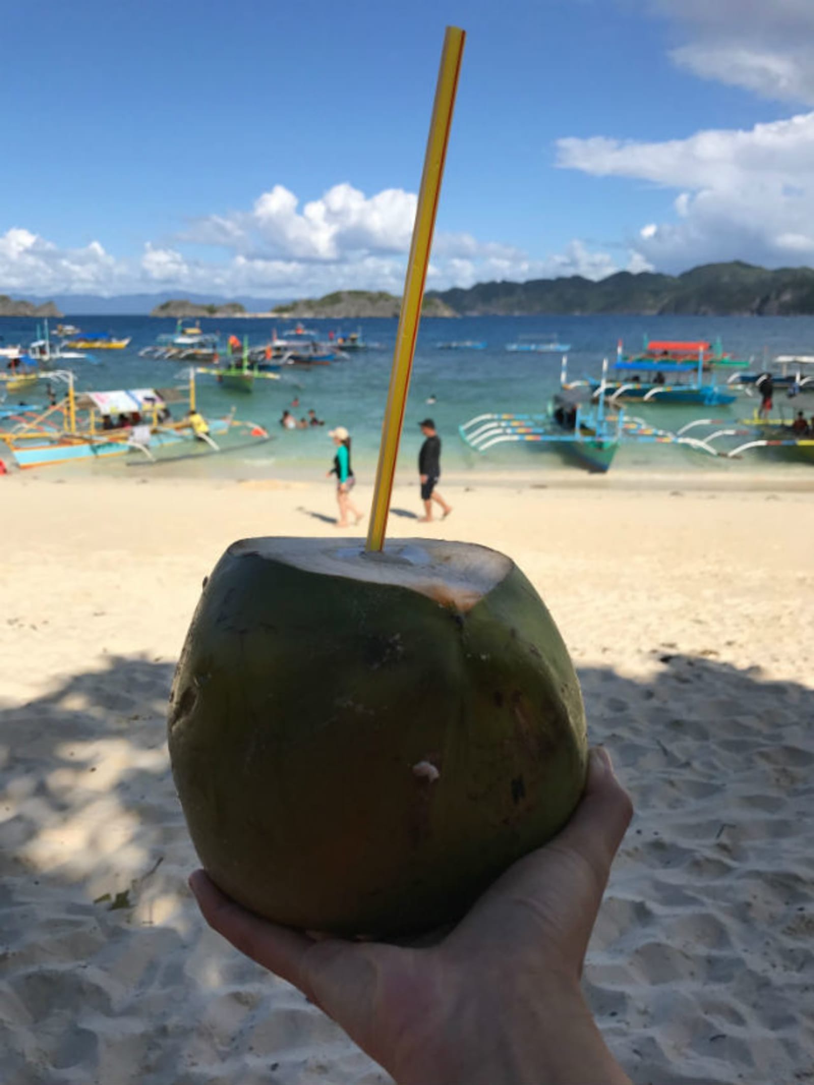caramoan-coconuts-bicol-philippines.jpg