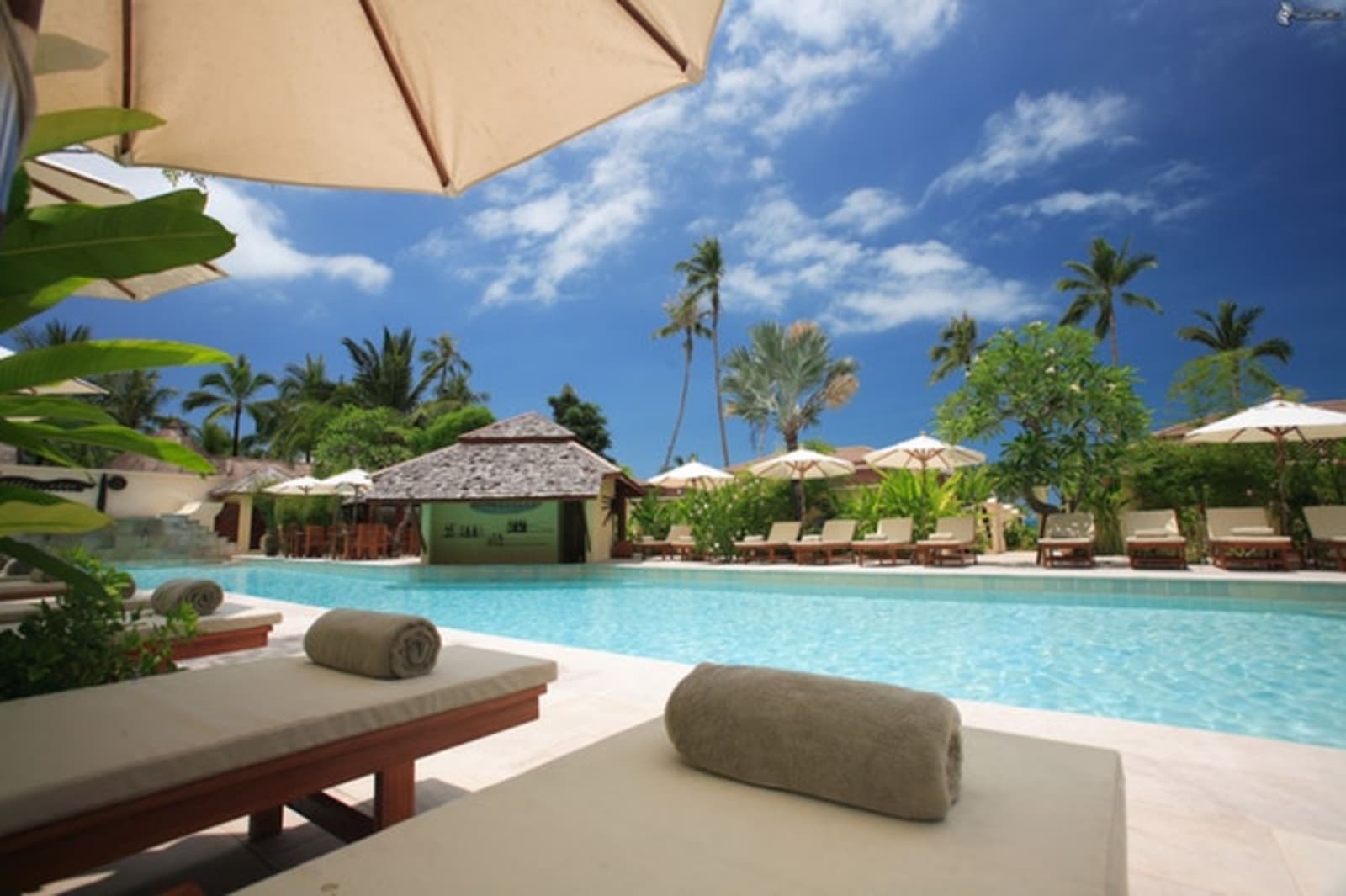 Relaxing resort pool surrounded by palm trees with clear blue sky