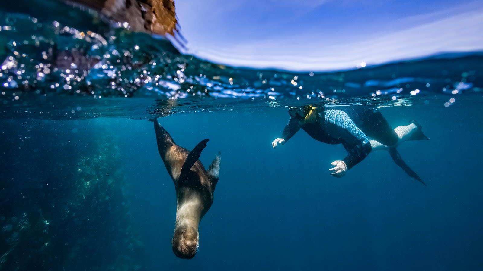 fc-blog-800x450-Galapagos-Islands-blog-image-1.jpg