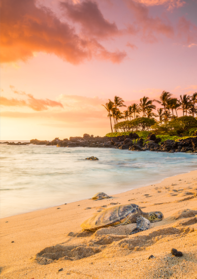 Travel guide Hawaii, United States