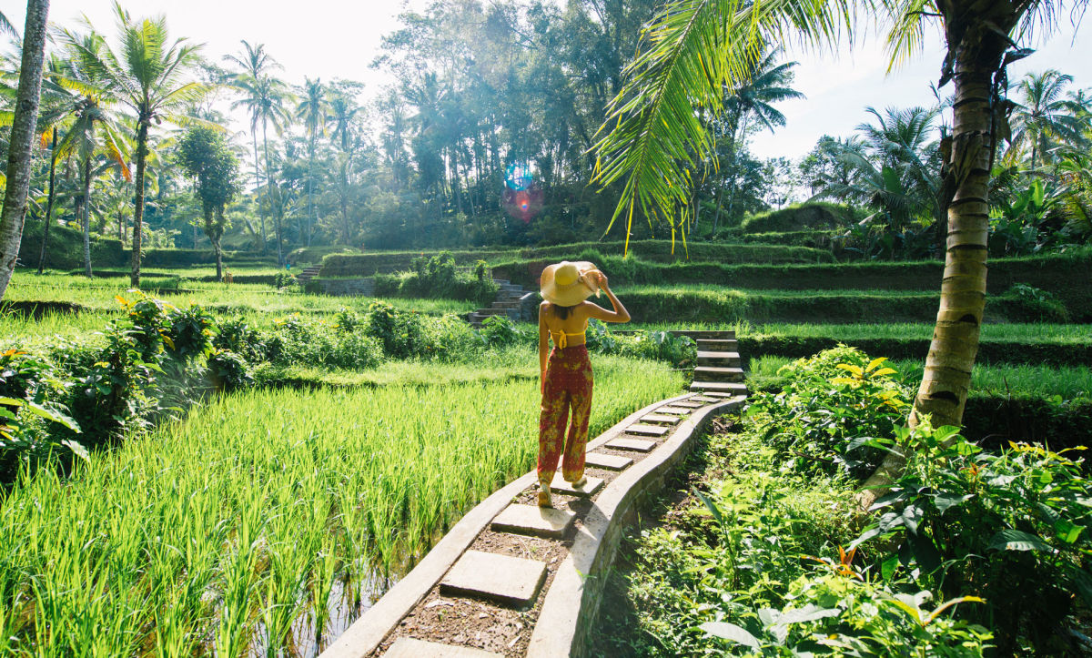 Cheap Flights to Bali Flight Centre