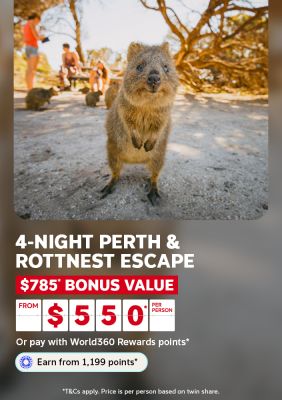 Curious quokka approaching on Rottnest Island for a 4-night Perth and Rottnest escape with $785 bonus value from $550 per person