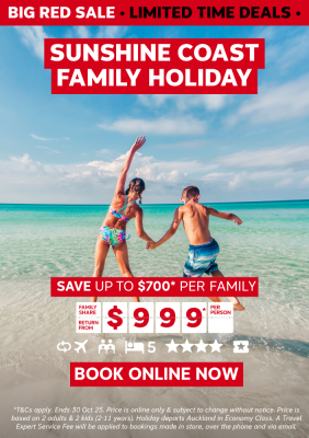 Big Red Sale Holiday Offer
