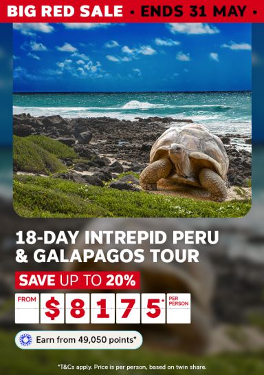 Giant Galapagos tortoise on rocky scrubland above turquoise surf for an 18-day Intrepid Peru and Galapagos tour saving up to 20% from $8175 per person