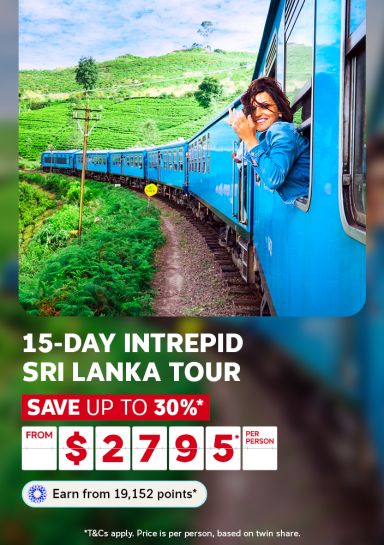 Person leaning from a blue train window as it winds through lush Sri Lanka tea plantations for a 15-day Intrepid tour saving up to 30% from $2795