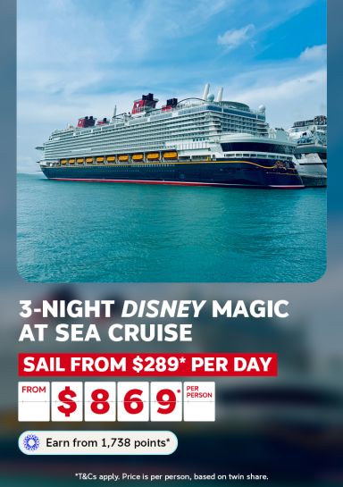 3 night disney magic at sea cruise