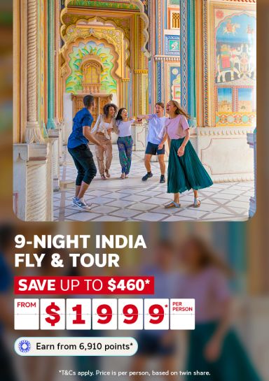 9 night india fly and tour