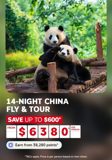 Playful giant pandas resting together on a wooden platform for a 14-night China fly and tour saving up to $600 from $6380 per person