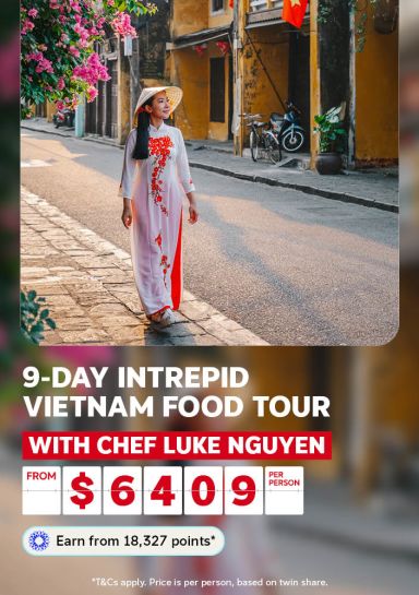 9 day intrepid vietnam food tour