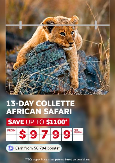 13 day collette african safari