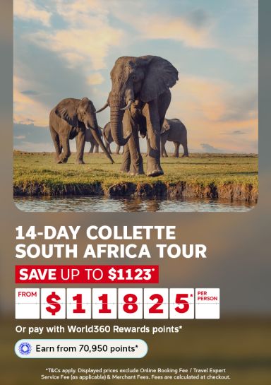Herd of elephants gathering at a waterhole at sunset for a 14-day Collette South Africa tour saving up to 1123 from 1825 per person