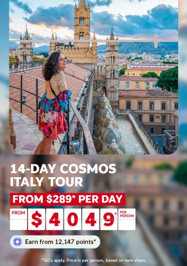 14 day cosmos italy tour