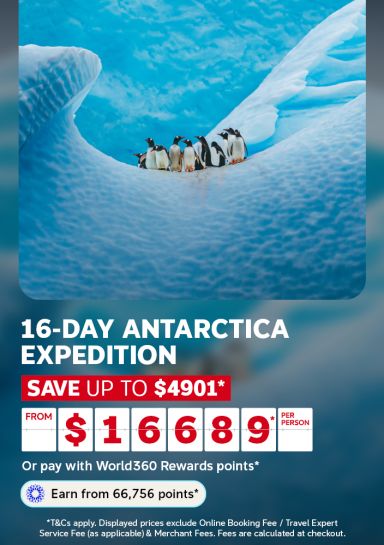 Gentoo penguins huddled on a blue iceberg for a 16-day Antarctica expedition saving up to 4901 from 16689 per person