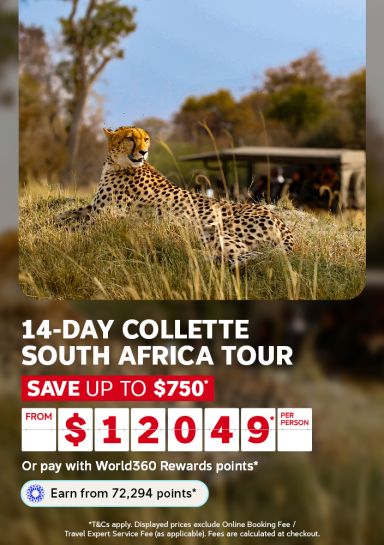 Cheetah resting in golden grass with safari vehicle beyond for a 14-day Collette South Africa tour from $12049 per person, saving up to $750