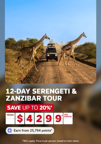 Giraffes crossing a dusty road beside a safari jeep for a 12-day Serengeti and Zanzibar tour saving up to 20% from 4299 per person