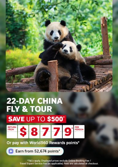 Pandas cuddling on a wooden platform for a 22-day China fly and tour saving up to 500 from 8779 per person