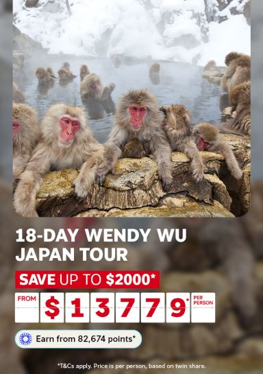 Japanese snow monkeys soaking in a steaming hot spring surrounded by snow for an 18-day Wendy Wu Japan tour saving up to $2000 from $13779 per person