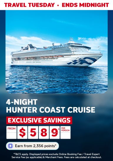 Princess cruise ship at sea featuring a 4-night Hunter Coast cruise from $589