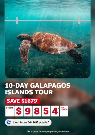 10-day Galapagos Islands tour | save $1,679* from $9,854* per person - earn from 59,160 points* | *T&CS apply. Price is per person, twin share. | Green sea turtle