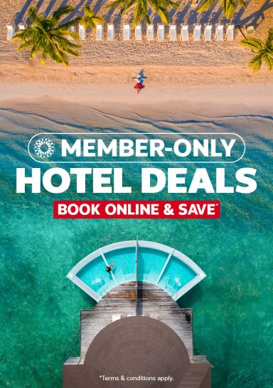 Aerial view of a swimmer in an overwater bungalow pool beside a palm lined beach for member only hotel deals book online and save