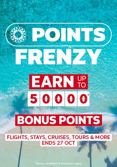 Palm tree shadows cast over a turquoise shoreline for a points frenzy earning up to 50000 bonus points on flights stays cruises and tours
