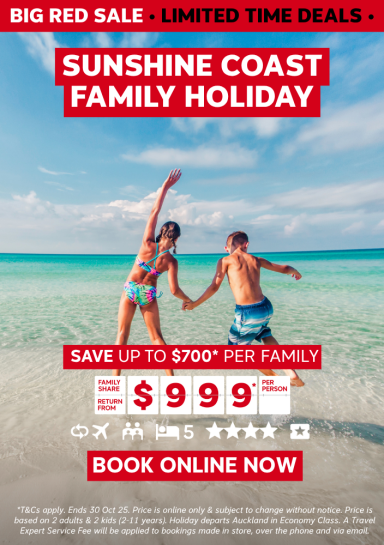 Big Red Sale Holiday Offer