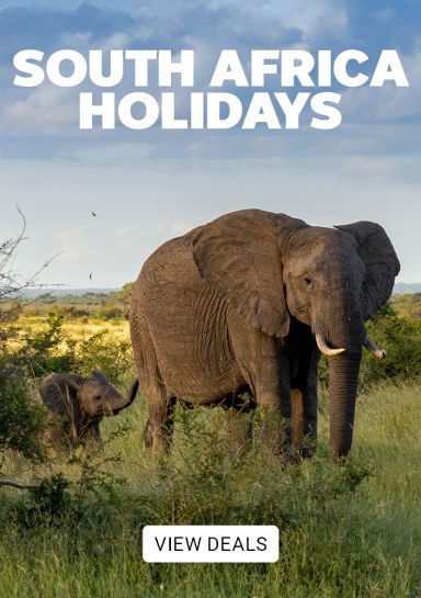 South Africa Holidays