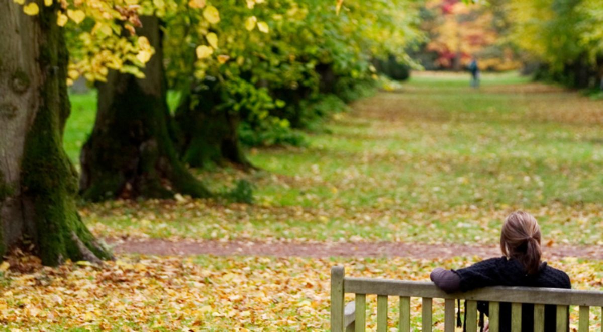 9 - The World's Best Gardens.png