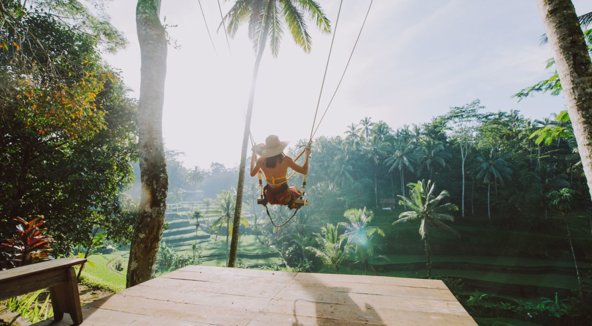 A person on a wing looking out over a tropical rainforest