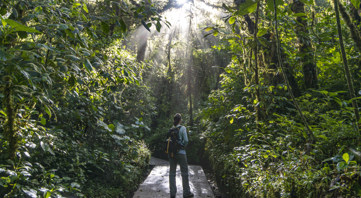 How to Honeymoon in Costa Rica