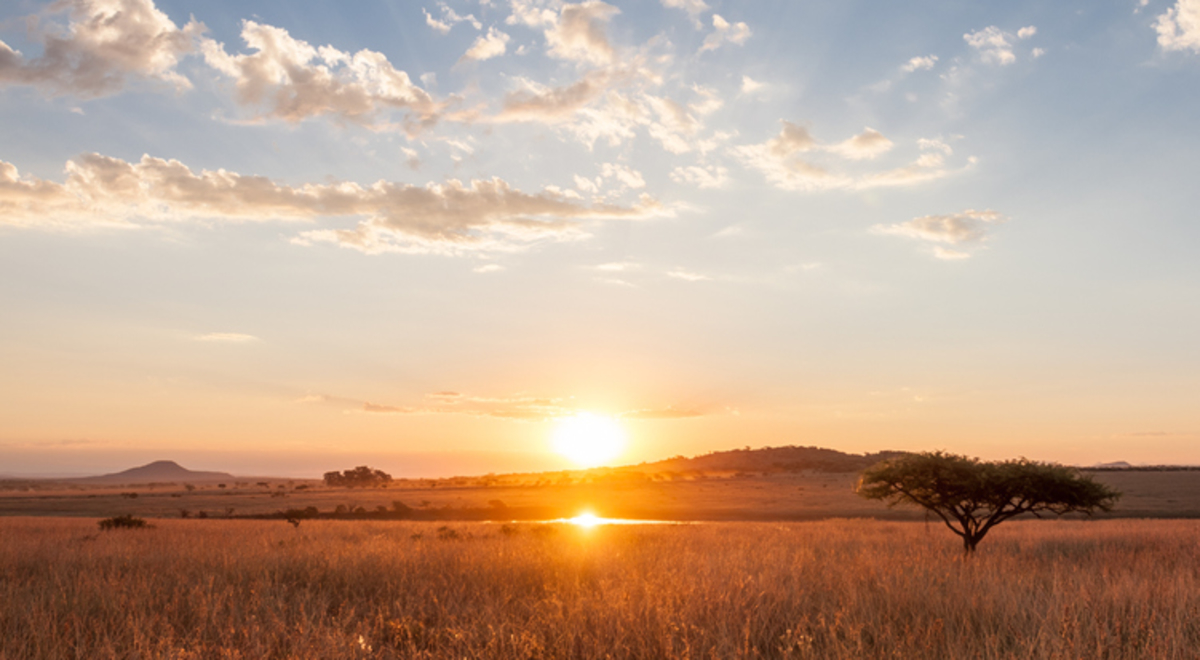 Scenic View Of Field Against Sky During Sunset