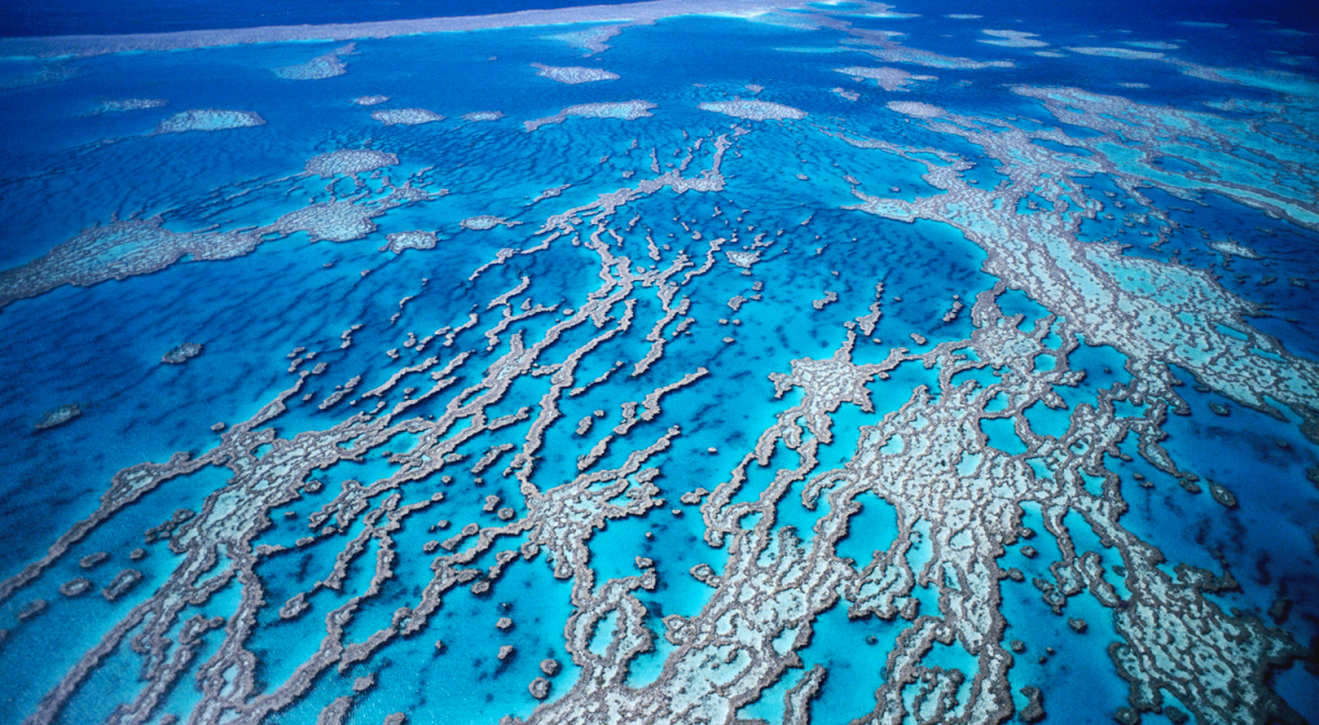 Great Barrier Reef aerial