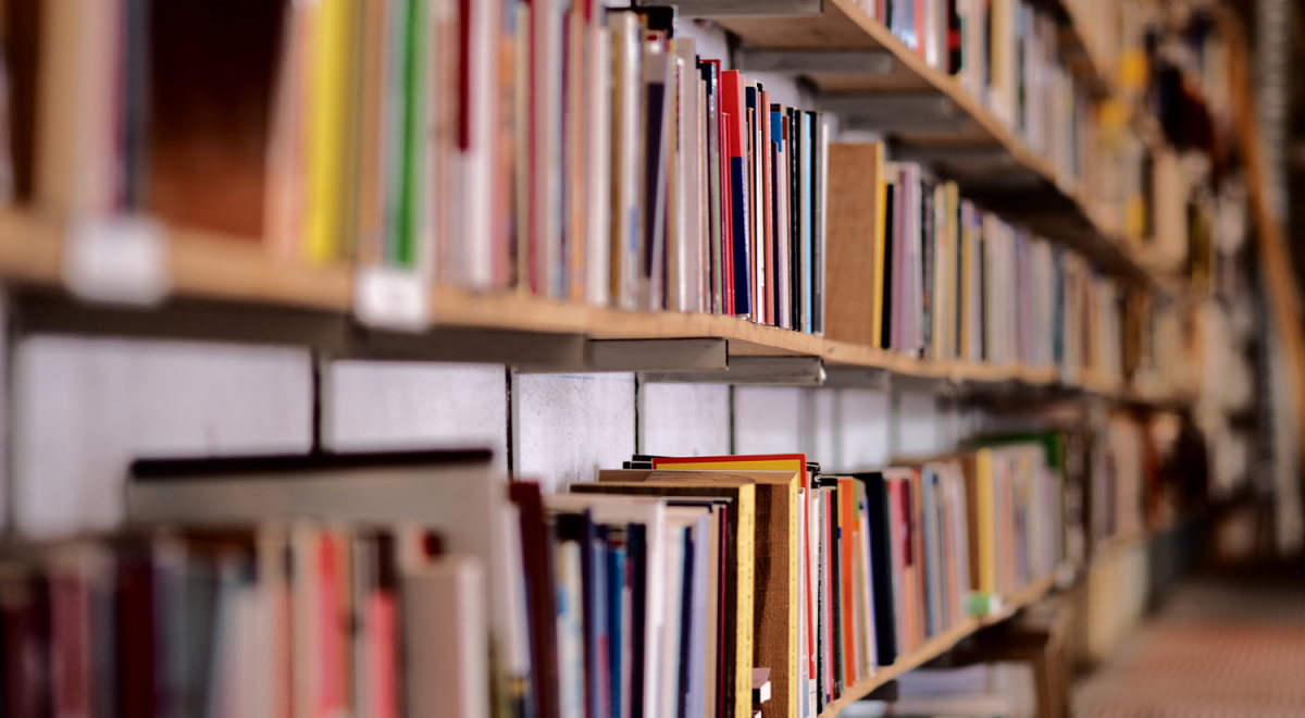 Guidebooks on shelves