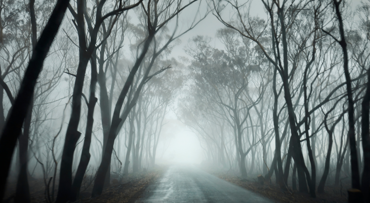 Driving on a country road in an atmospheric dark forest through smoke fog mist and rain.