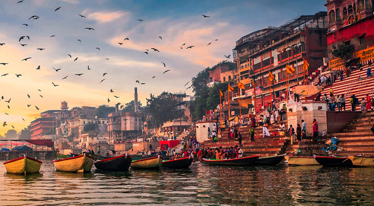 Yellow rowboats next to an Indian temple with many birds circling overhead