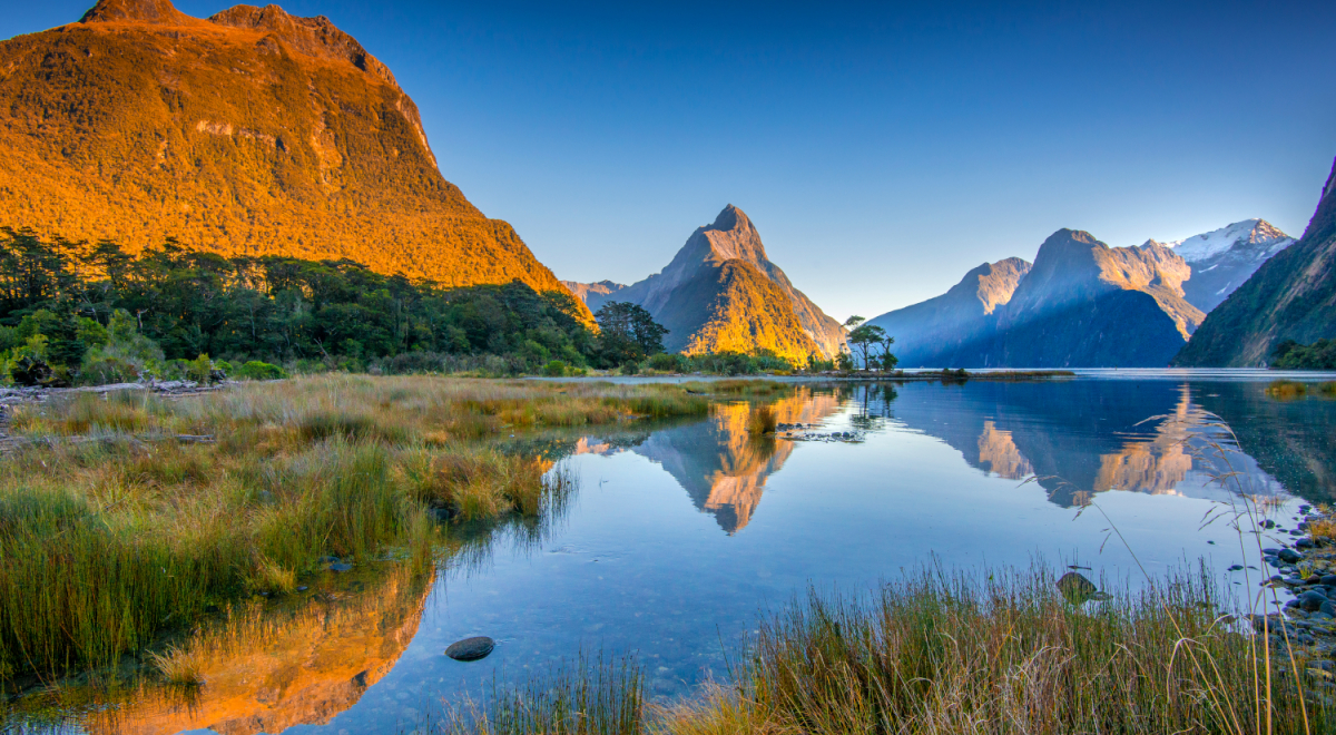 Milford Sound Hike